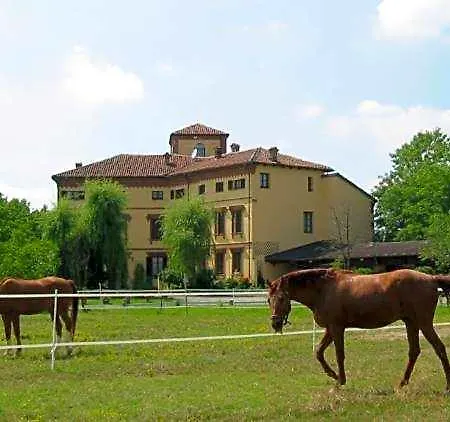 Monvicino